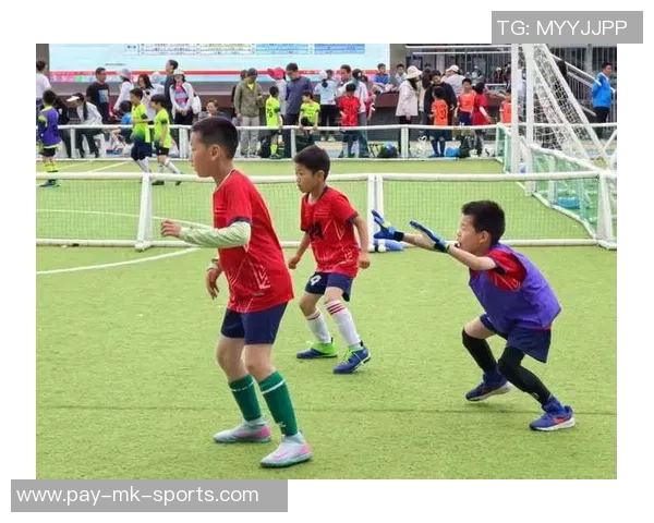 足球英雄132带你领略绿茵场上的传奇故事与感人瞬间